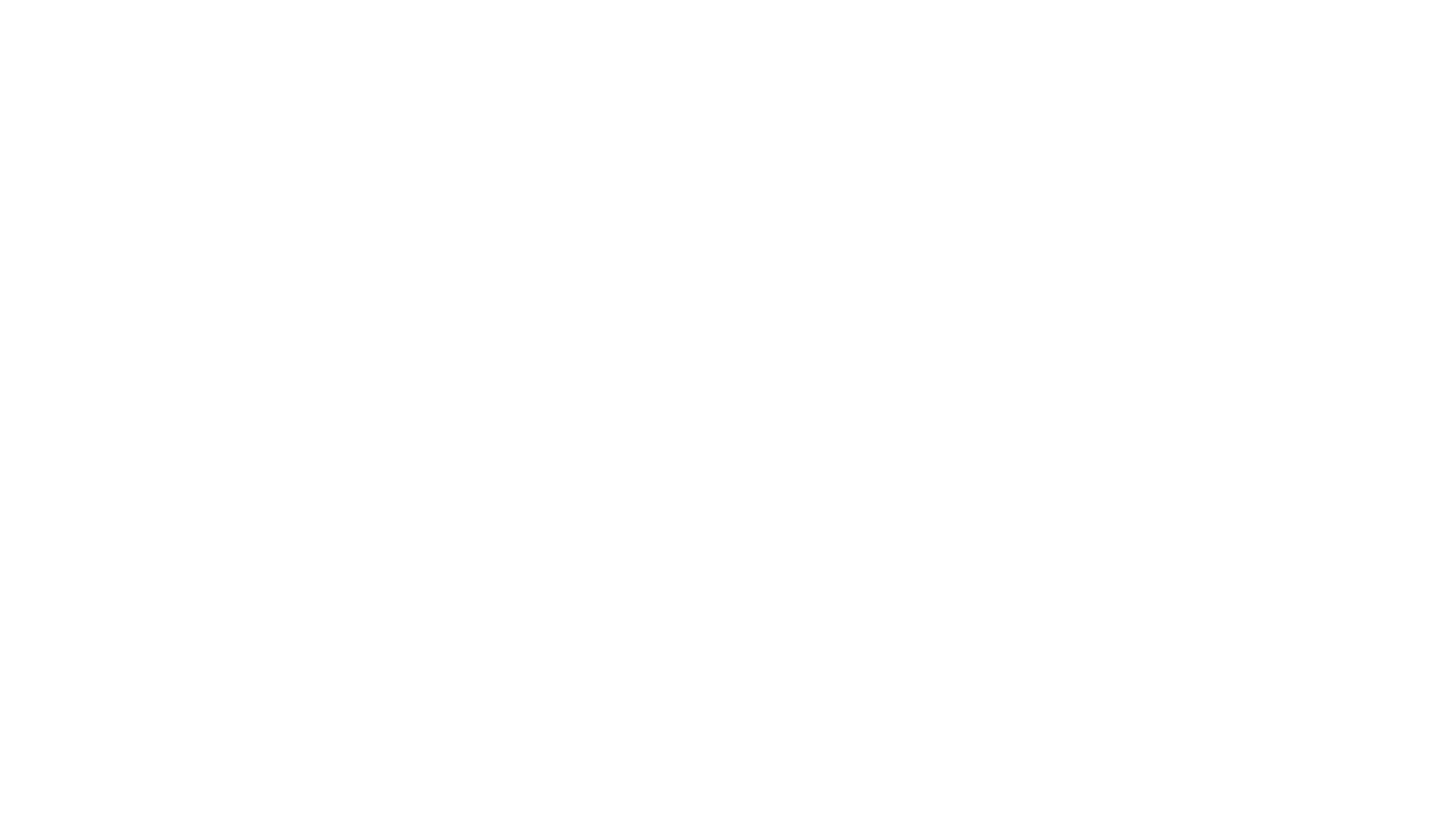 Visa Logo (1)